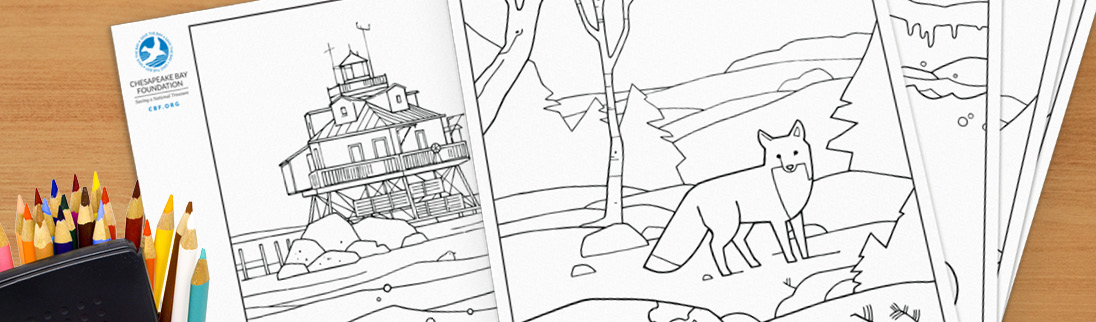 Chesapeake Bay Coloring Pages