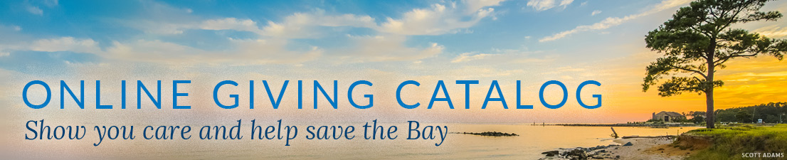 Online Giving Catalog - Show you care and help save the Bay.